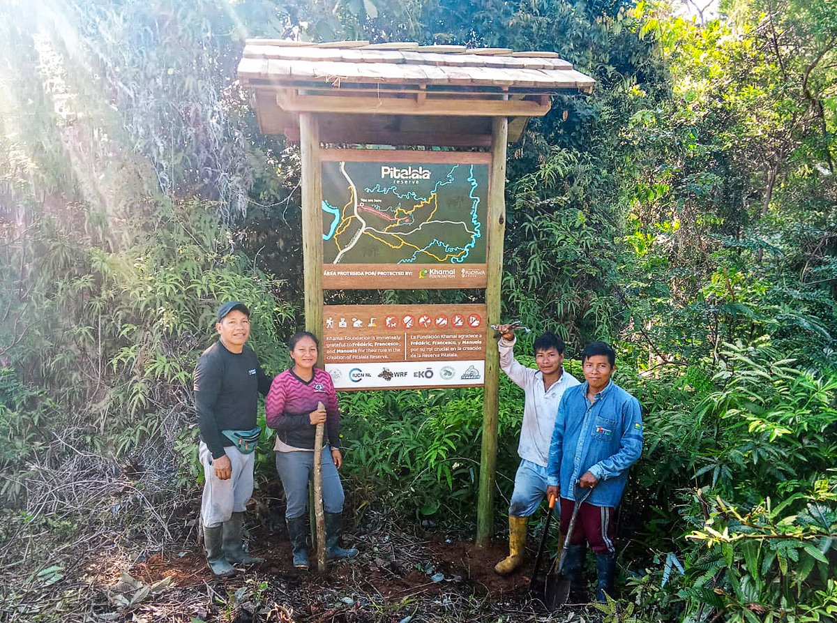 khamai_bio's tweet photo. More good news for the #AmazonRainforest!

A joint effort between @khamai_bio, @FundRainforest, @Eko_Movement, @cycling99, Otter Fonds, Swiss Terraria, and 151 backers secured the urgent expansion of the 📍 @PitalalaReserve, saving 94 hectares of spectacular #rainforest. https://t.co/7uGrX9BN38