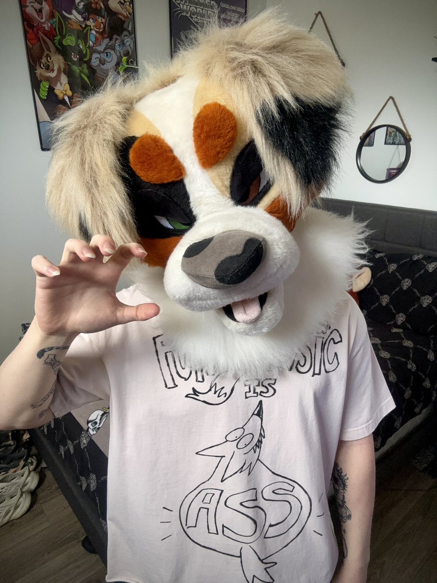 koda_shep's tweet photo. Furry music so ahh 
Jk, I enjoy a few furry music artists https://t.co/UomgWcZx07