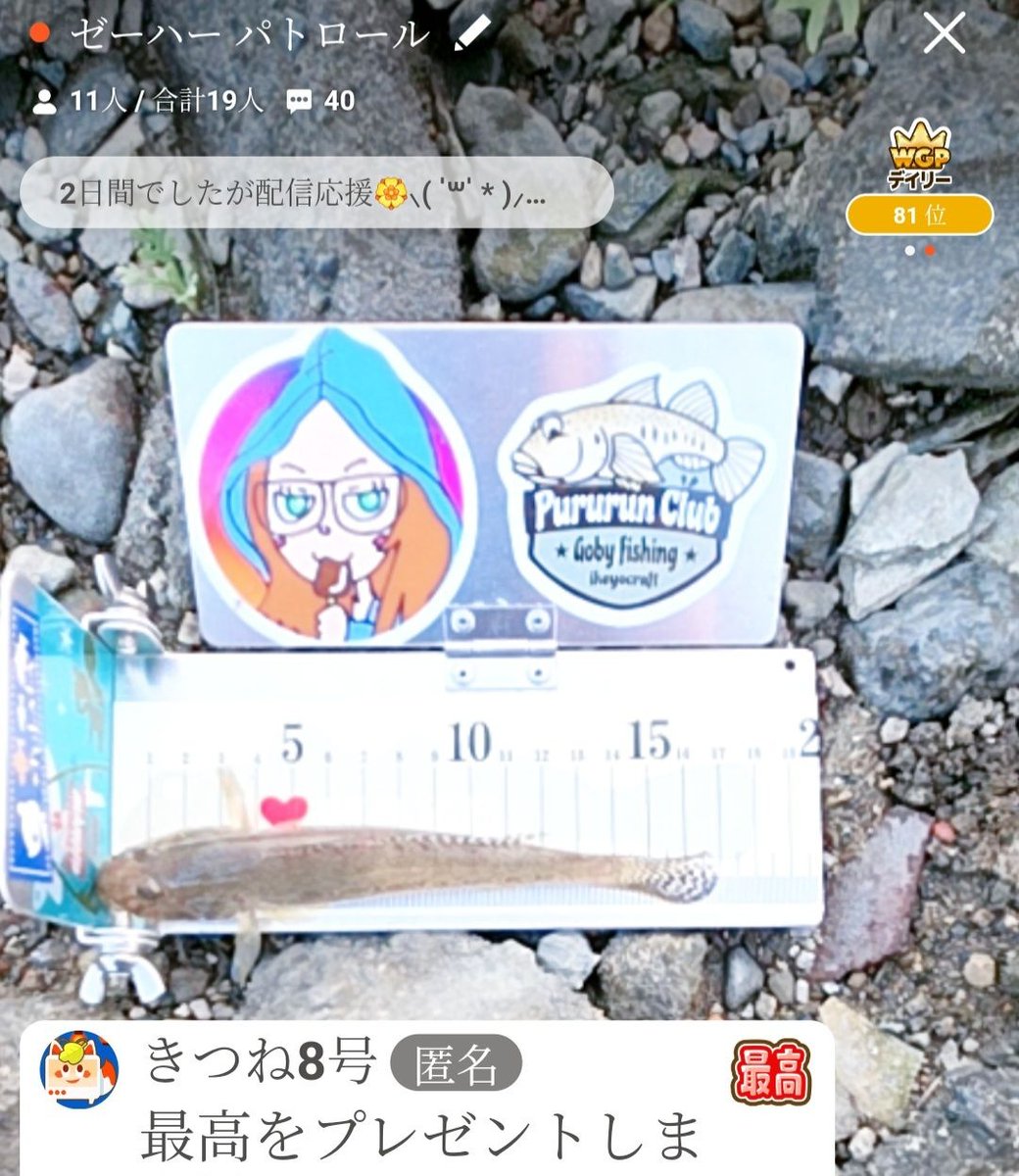 taruto_0510's tweet photo. 🎣第5回NFG ハゼ釣り大会🎣

参加者さんの釣果

16.9cm✨✨

#NFG #ハゼ釣り https://t.co/SRPoJMucRW