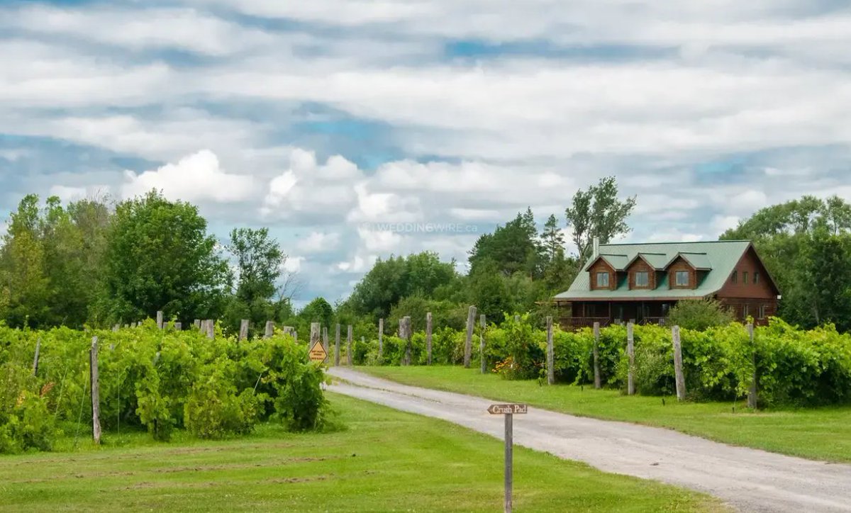 isabellccamillo's tweet photo. I am bringing my practice home to the vineyards, wineries, farms, &amp; tables of Ontario. Beginning this summer, Eudaimonium will serve businesses at the heart of Ontario's agritourism—people who grow, make, pour, &amp; serve—with strategy, leadership dev, &amp; hospitality team performance https://t.co/juPcFIaNkE