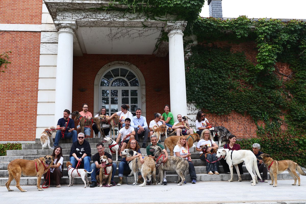 sanchezcastejon's tweet photo. ¡Feliz día del perro! 🐶 https://t.co/spC75Ma02d