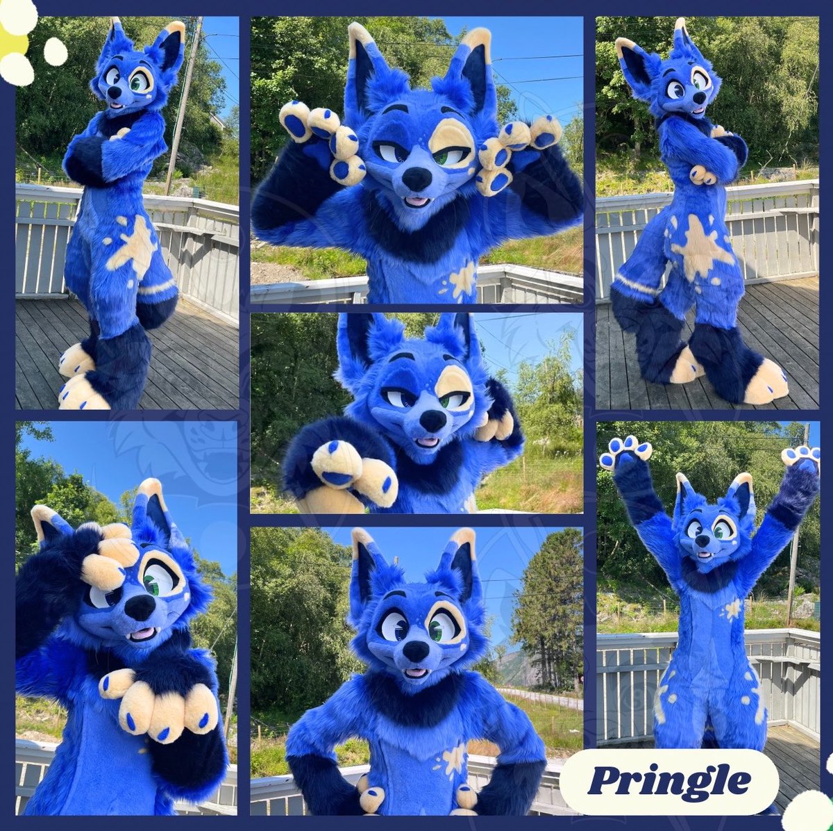 sheenitude's tweet photo. Now that’s a fennec ‼️💙💛 https://t.co/jBoodeBxRM