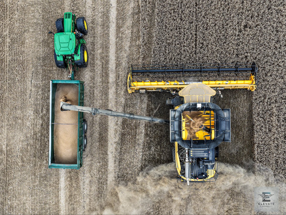 ElevateDrones's tweet photo. How to find a combine:
Launch drone.
Find dust cloud.
Get in car.
Drive down every country lane except the right one.
Eventually find the combine.
@NewHollandAgBr
Today’s harvest mission near Higham. 🌾🚜
#Harvest2026 #Higham #Kent #Farming #NewHolland #Combine #HarvestTime https://t.co/LBVWHpNNKF