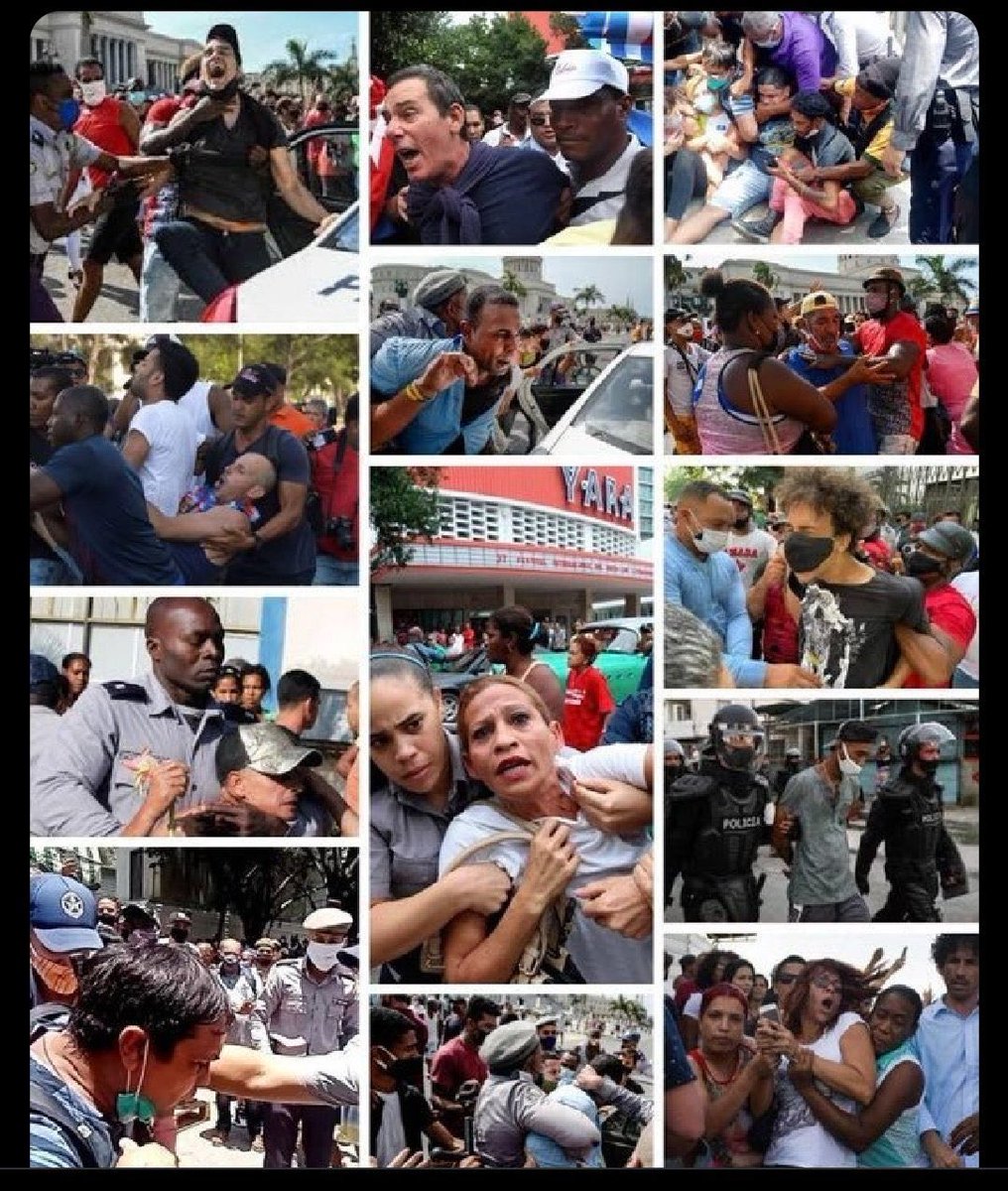 Nomeimporta. tweet media