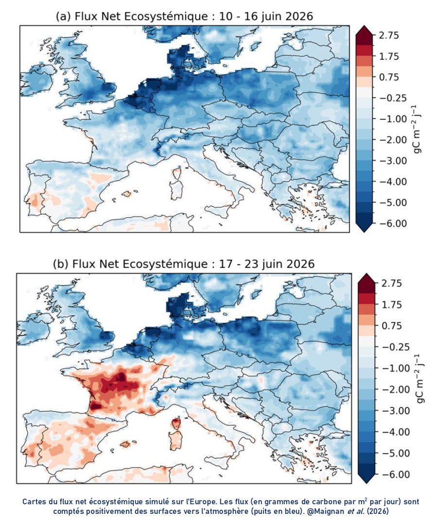 SergeZaka's tweet photo. En brûlant une partie de la canopée et en réduisant fortement la photosynthèse, la canicule et la sécheresse de juin 2026 ont impacté nos écosystèmes à des niveaux jamais vu (jusqu'à plus de 50 % de baisse de l'activité des feuilles, de la Vendée à la Bourgogne – carte 1), elles ont même transformé certains territoires en émetteurs nets de CO₂ (carte 2).

C'est précisément ce que j'avais dénoncé le 21 juin en évoquant une sécheresse éclair de type Heat Wave Flash Drought (HWFD) (carte 4, issue de mon site AgroMétéorologie). Elle a bien eu lieu, avec des conséquences majeures.

Selon les études d'attribution, le changement climatique d'origine anthropique a rendu cette canicule de juin 2026 plus de 10 000 fois plus probable (carte 3).

Nos écosystèmes (forêts, cultures, prairies, mais aussi les océans) disposent de la technologie la plus efficace pour retirer le CO₂ de l'atmosphère : la photosynthèse. Elle n'est pas humaine, elle est végétale. Pourtant, face aux canicules, le débat public se concentre presque exclusivement sur la climatisation et l'adaptation des villes.

À quel moment comprendrons-nous que la santé de nos écosystèmes est tout aussi essentielle que celle de nos espaces urbains ? J'espère qu'à l'avenir, lors des épisodes de canicule, nous parlerons autant de l'adaptation des villes que de celle de l'agriculture, des forêts et des écosystèmes.

Ces résultats proviennent d'un travail exceptionnel réalisé par les chercheurs de l'IPSL. Soyons fiers de nos centres de recherche français.
https://t.co/E2YfY4xsus