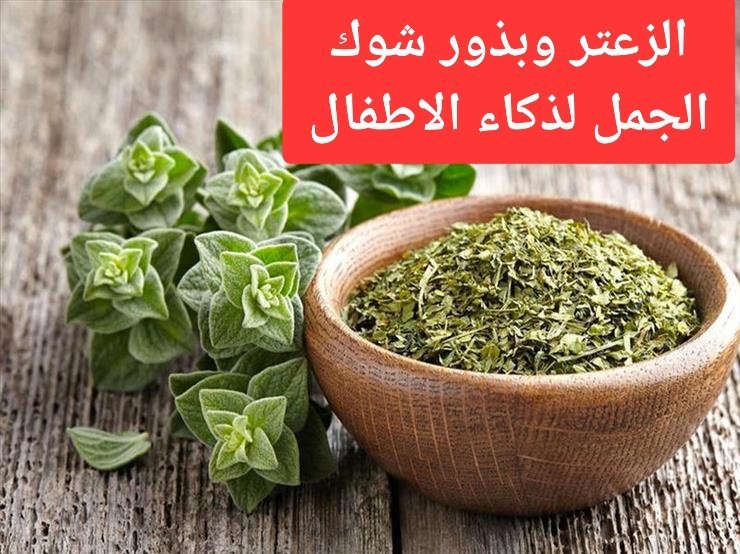 arabaltmed's tweet photo. خلطة الزعتر المثاليه 
للأطفال خاصه
افضل غذاء يمكن أن يوضع لهم على الافطار 
لزياده الذكاء وتعزيز مناعة الجسم

✔️عندك كيلو من الزعتر المضاف اليه السمسم 
✔️اطلبي اونلاين او من العطارين  ٢٥٠ غرام من بذور حليب الشوك او الخرفيش.
✔️تطحن وتضاف الى الزعتر والسمسم وان أضفت ١٠٠ غرام سماق يكون ممتاز 
يؤكل مع زيت زيتون
ايضا 
✴️هل تعلم 
زيت الزيتون والزعتر تنافس الأسماك في تقوية الذاكره وان أضيف لها بندوره مع بصل فتكون وجبه غذاء كامله للدماغ.

✴️هل تعلم أن الزعتر مع العسل أفضل الف مره من الجزر لتقويه النظر 
خليه في بالك وانت تفطر الصبح ويا ريت مع زيت الزيتون وخبز الشعير

❤️عندكم طرق اخرى للاستفادة من الزعتر ارجو ذكرها في تعليق 
لا تنسو مشاركه الموضوع مع الآخرين
