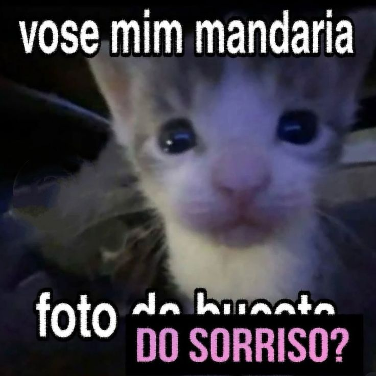 odeiootaco's tweet photo. https://t.co/513OucSEMe