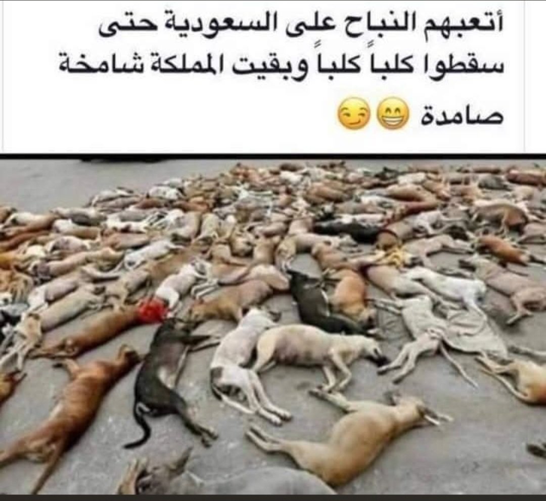 suliman20161's tweet photo. @bin_ajjlan https://t.co/aneOWJMkOQ