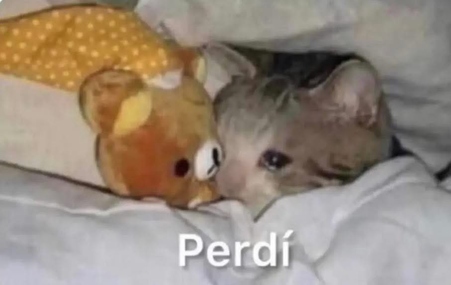 DiloConGatitoz's tweet photo. "El que se enamora pierde"

Yo 3 días después: https://t.co/gIqfT5xGWF