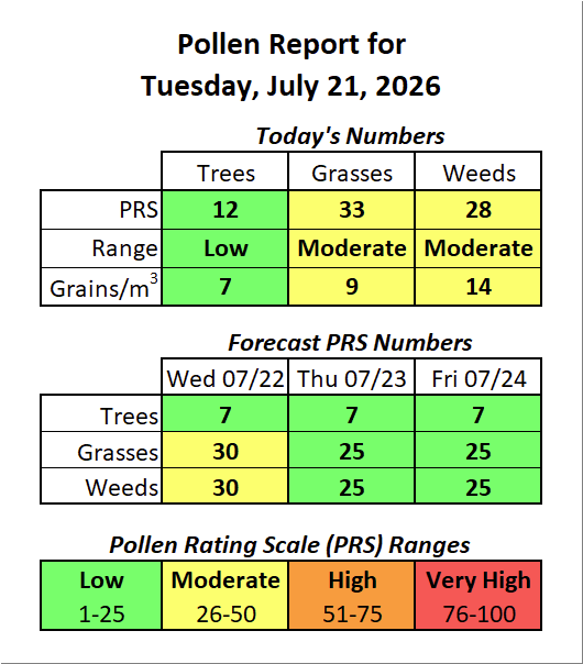 ForsythPollen's tweet photo. The first ragweed of the season was observed today and is pretty much right on schedule. With that said, peak ragweed season doesn't arrive until early September. https://t.co/GgbflFsP3n