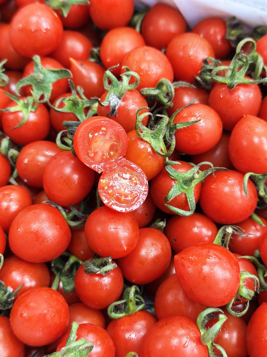 BrianHillock2's tweet photo. Just tried the new organic cherry tomatoes from local farm—burst with sweet juice, no weird aftertaste, perfect for salad! Highly recommend picking some up this week.， https://t.co/l1fngORULP