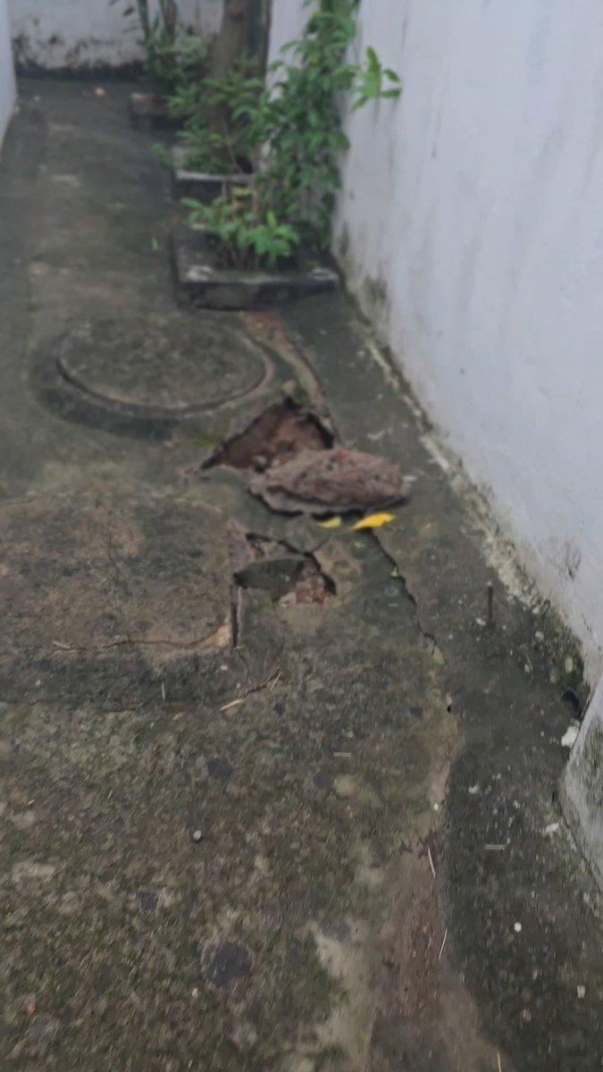 Kunal_Tweeets's tweet photo. @CMO_Odisha @HUDDeptOdisha @bmcbbsr @IPR_Odisha @AprajitaSarangi #Bhubaneswar #Odisha #PublicHealth #Dengue #Sanitation #SwachhBharat #BMC #Emergency 

@otvnews  @kanak_news  @News7Odisha  @ArgusNews_in  @Kalingatv24 @timesofindia  @IndianExpress @ndtv @CNNnews18 https://t.co/0pz6CPR8Qm