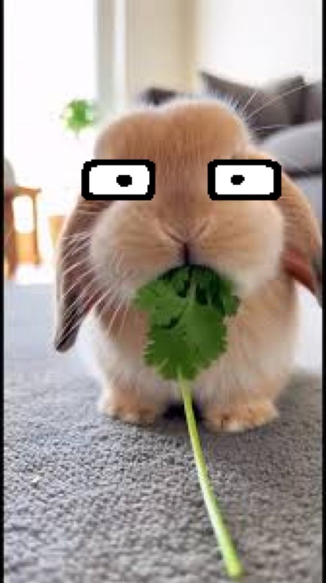 Repient's tweet photo. @Renmetzz ITS PEAK https://t.co/noOvHDdVMq