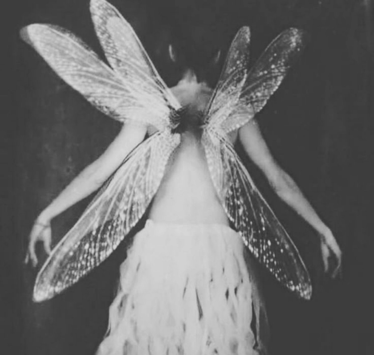 jessaricc's tweet photo. “My eyes are painfully open,
   and I want to escape."
       — Anaïs Nin https://t.co/R9q0vhIdvr