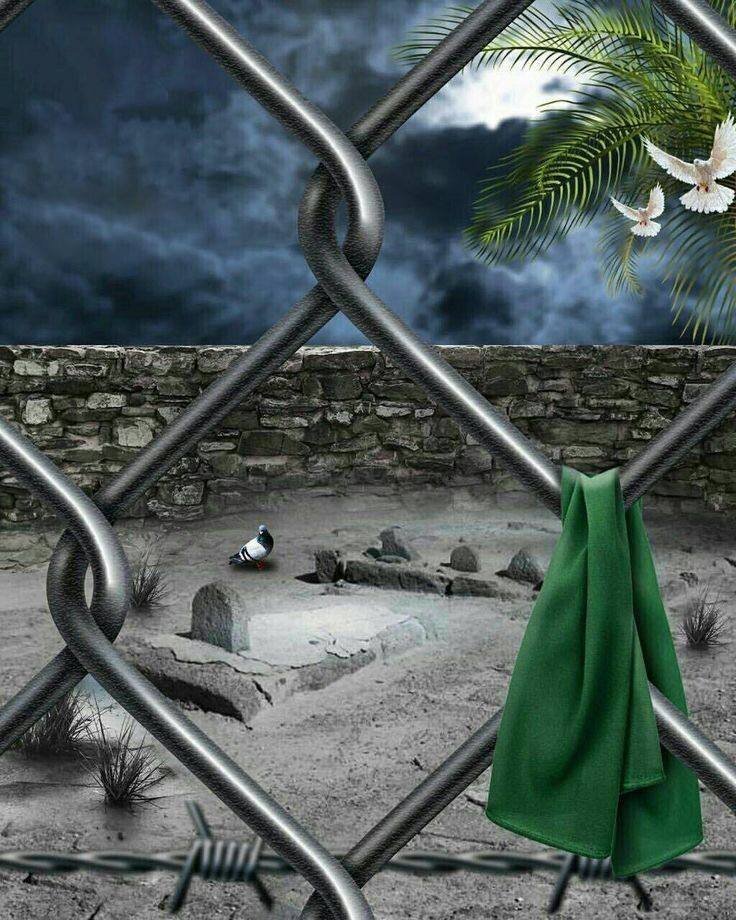 SaeediAwad's tweet photo. اَنا المَحمُول وَ الأَقواسُ تَرمِيني
إِلَىٰ ضِلعَيكِ يَا أُمَّاهُ ضُمِّينِي" ..💔

#الحسن_المجتبى | #استشهاد_الامام_الحسن https://t.co/XhAMYyFSKk