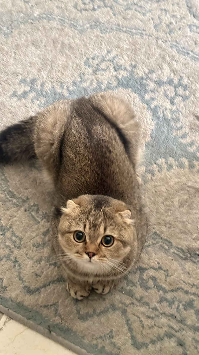 xfsm24's tweet photo. https://t.co/Erj3rvzNdJ