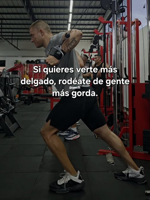 LAPULGATUSA's tweet photo. https://t.co/aMGKi8ussV