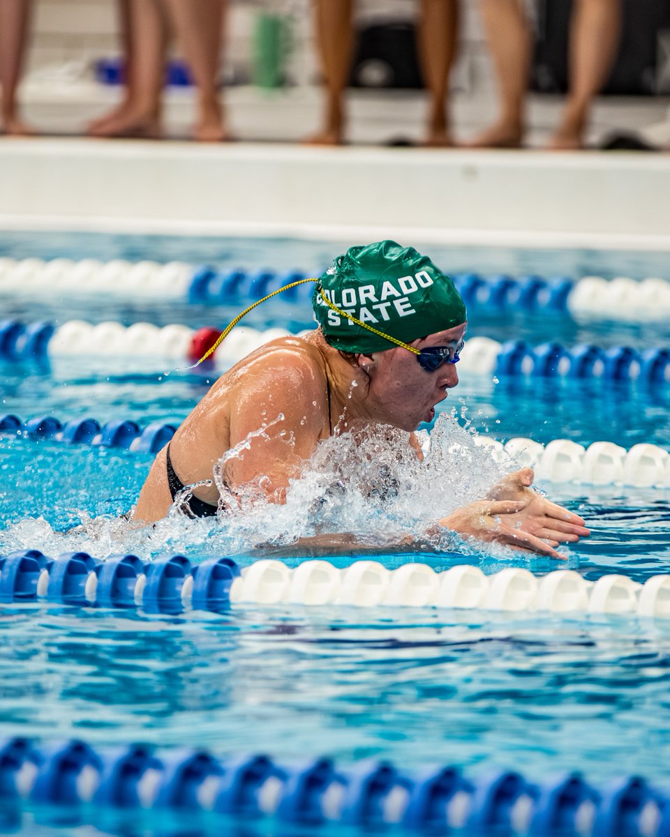 CSUSwimDive's tweet photo. Good luck to 𝐄𝐫𝐢𝐧 𝐃𝐚𝐰𝐬𝐨𝐧 at the FISU America Games‼️ https://t.co/SBsjDhXozh