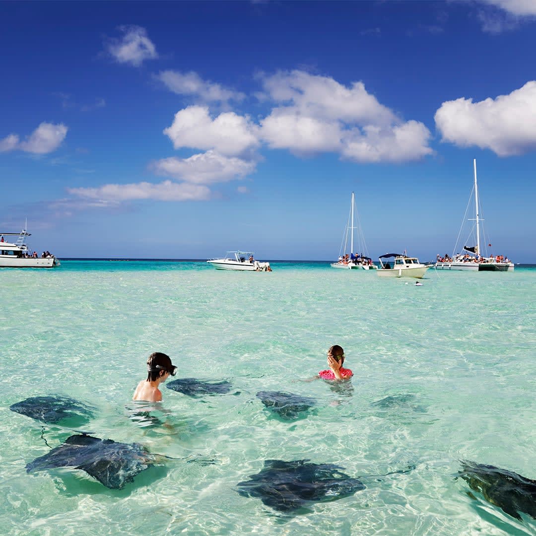 EllenOvercast's tweet photo. Grand Cayman has a way of delivering exactly what you didn't know you needed. 🌊 Seven Mile Beach, vibrant coral reefs, exceptional dining, and cosmopolitan ease await. Let's plan your escape! (610) 781-6950 https://t.co/dHtgHCIwK9
