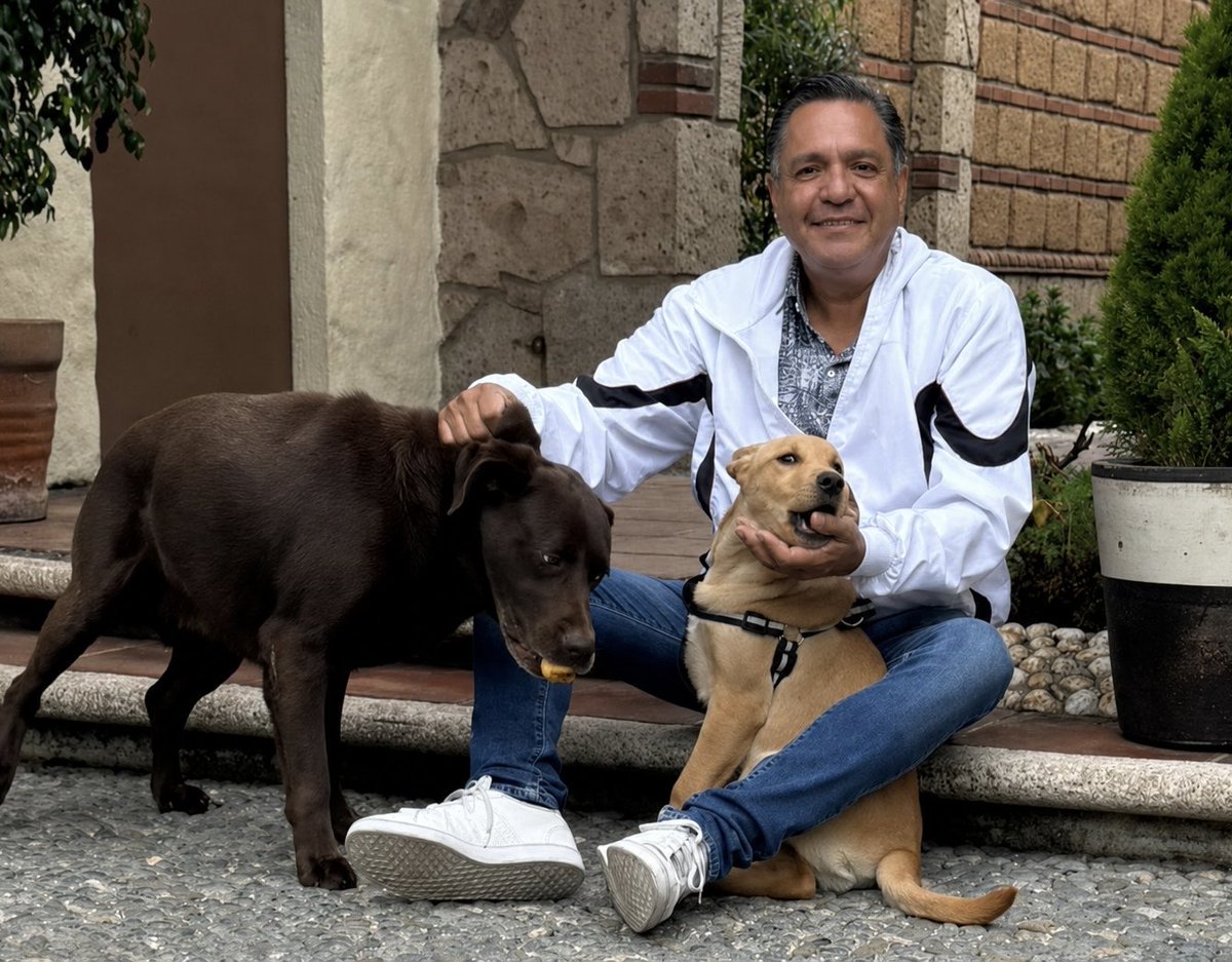 rimoba's tweet photo. Hoy celebramos a quienes nos reciben con alegría, nos enseñan lealtad y llenan de vida nuestros hogares. 🐶❤️

En casa, Ron y Whiskey son parte de la familia y nos recuerdan todos los días el valor del cariño y el compromiso. https://t.co/gYVjtiPlID