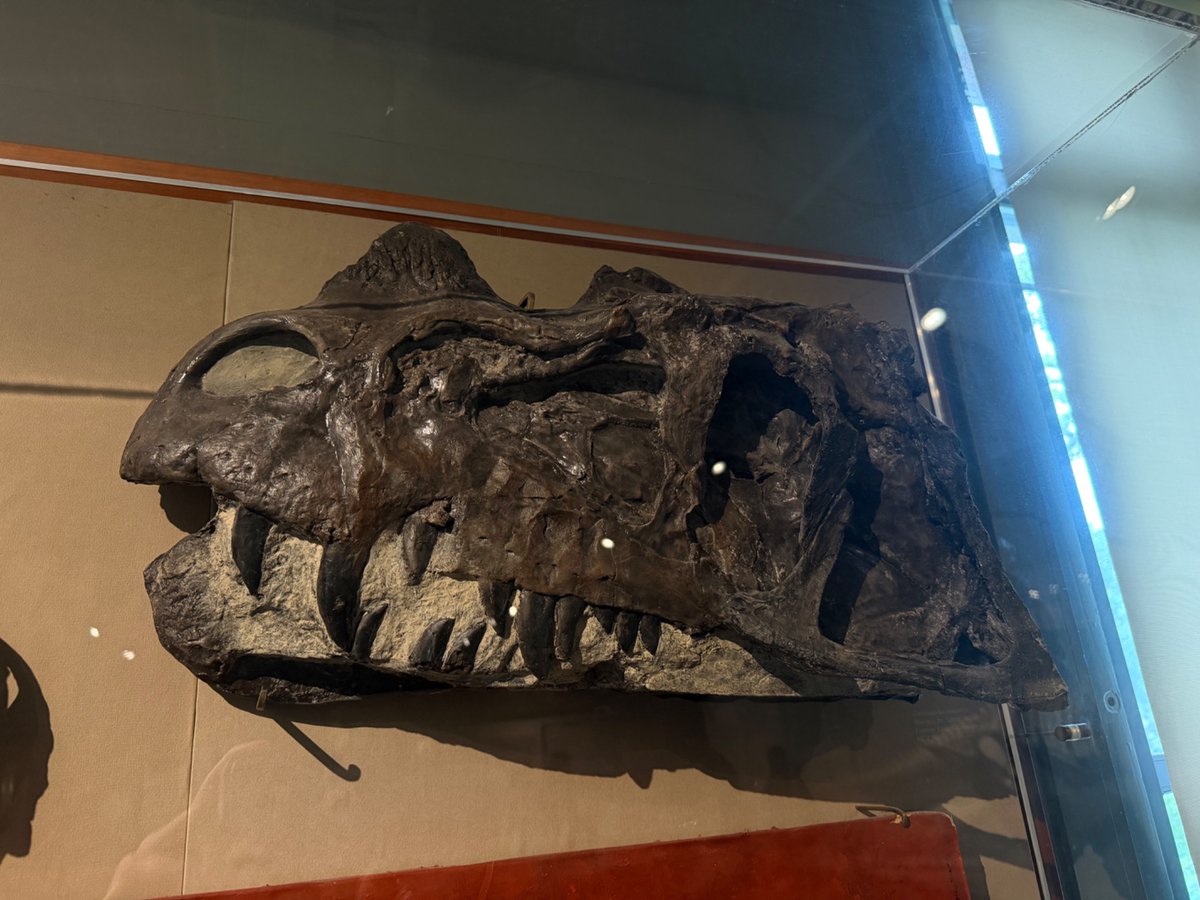 Erica🦕 tweet media
