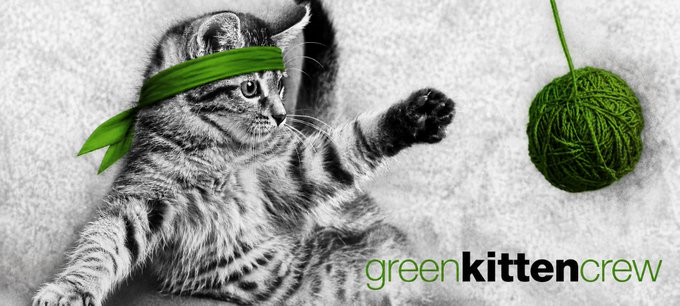 GreenKittenCrew's tweet photo. Join the Community

https://t.co/0nQwAZ64gW https://t.co/Hsm86LQUEB