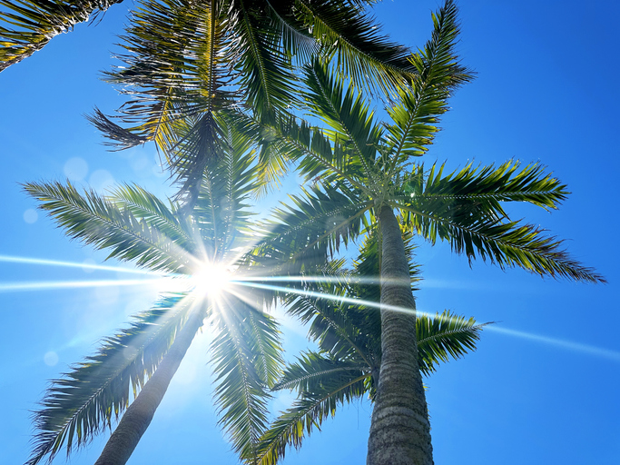ACGuysFL's tweet photo. Florida summers are tough on AC systems. The more efficiently your unit runs, the better it handles those nonstop hot afternoons. ☀️ 😎

Call us today:
407-654-7420
352-242-0274 https://t.co/Dr1kI8NXAn