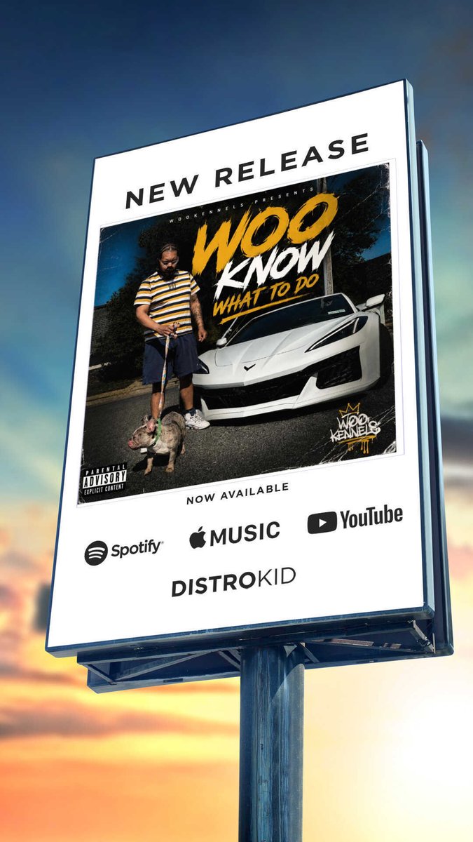 stizzywoo's tweet photo. New music for the summer babies ♌️‼️ #hiphop https://t.co/VoEiYrLrOs https://t.co/IqcvmJTh0s