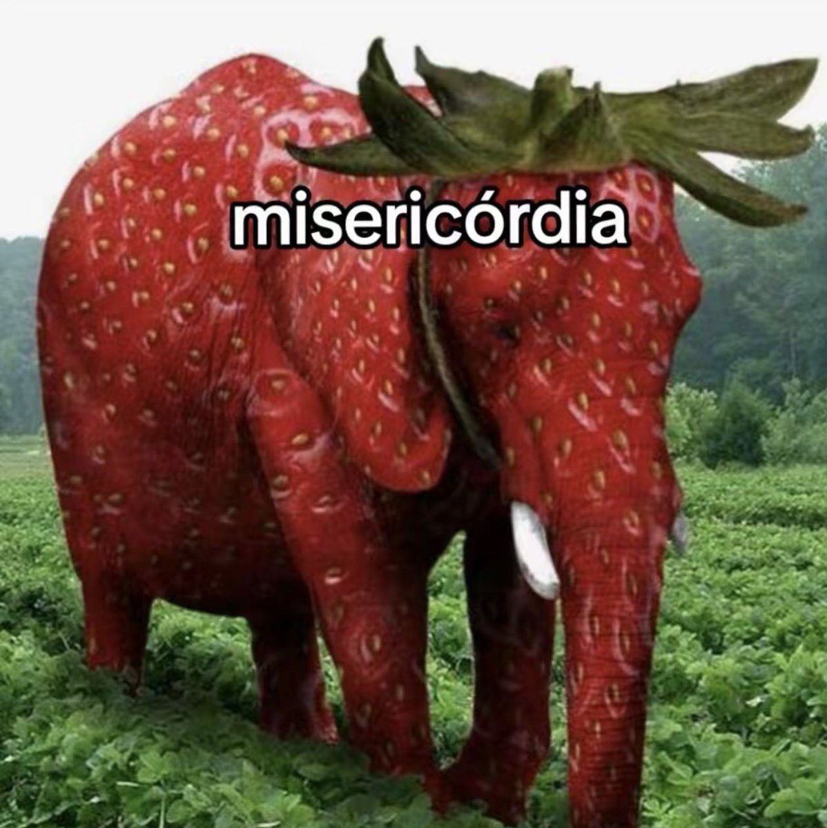 doublefsion's tweet photo. que strawberry elephant oque minha filha esse ai é o misericórdia https://t.co/INC4oNIhru