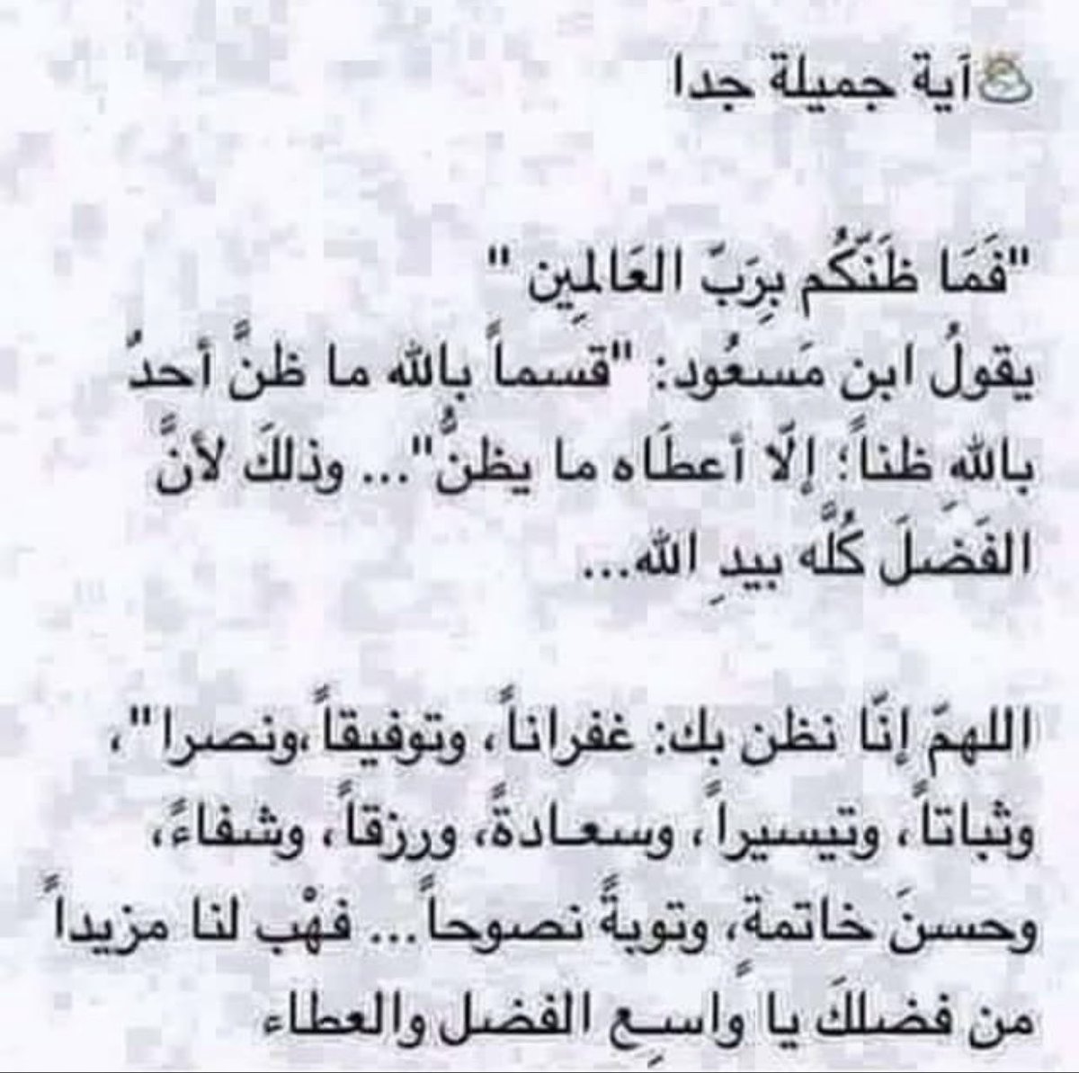 talebatalgofran's tweet photo. https://t.co/C14GRIokhB