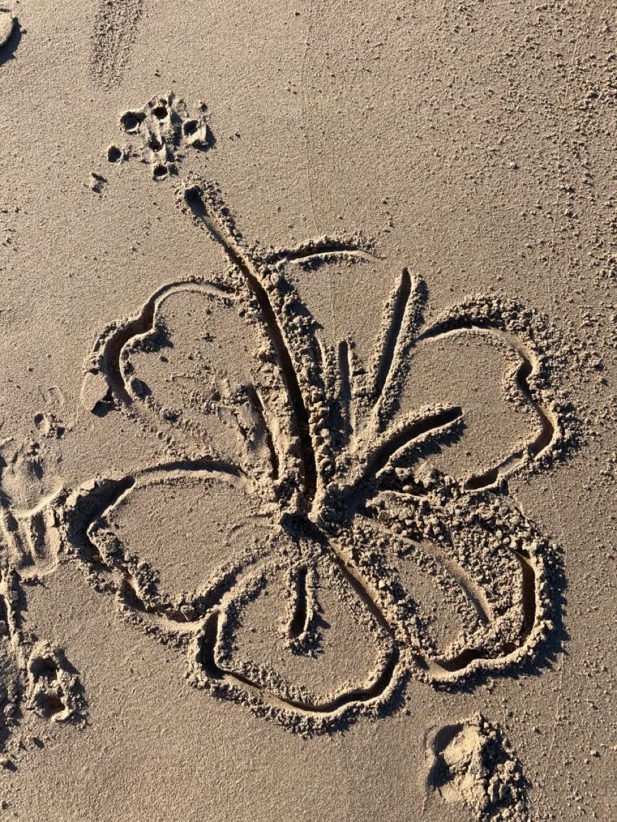 lunecrumbss's tweet photo. beach moments https://t.co/88hAsjWNit