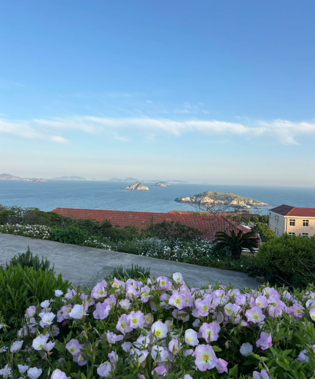 Wins_Fu's tweet photo. 浙江的海！
#周末去哪儿 #治愈系风景 #我的宝藏小众岛屿 #假期去哪儿 #江浙沪旅游 #花鸟岛 https://t.co/KH4wcIylMY