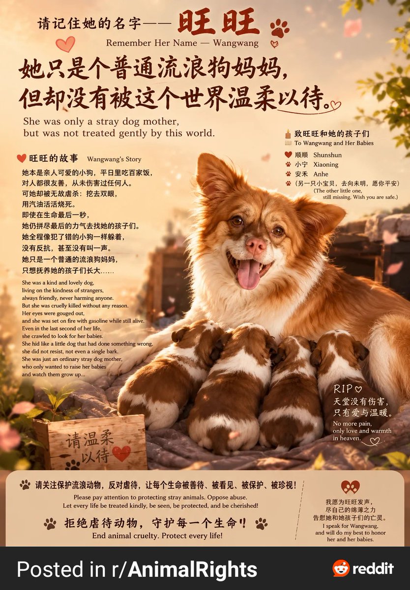 NathanW040's tweet photo. Fake leftists support China because they hate the west, a real leftist acknowledges animal cruelty in China and stands against the Chinese government! #politics #AnimalRights https://t.co/ANLqk2dlpL