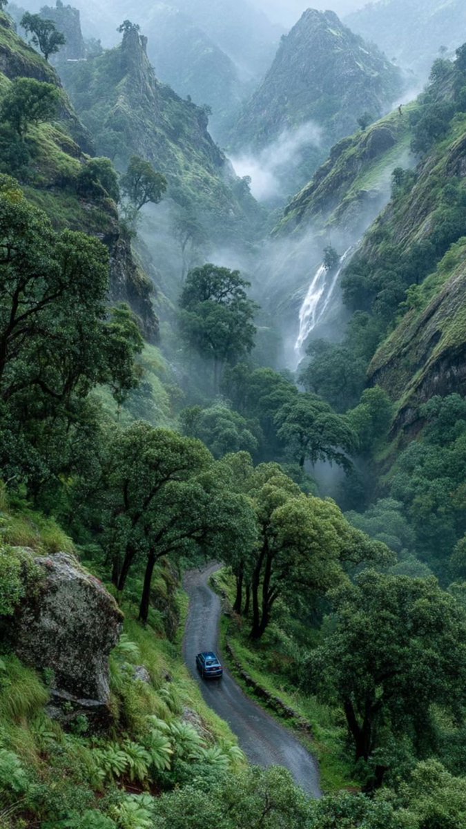 vikasknirmal's tweet photo. @suzy_sakaki @june_dewild @Anna1531711 @natural77384672 @sheriran95 @enriquillo2 @PhilxxUK @Alexa17101614 @ramasignage2145 @SophiaHarr54006 @a_zicc @maype7 @aa0921629853 @marsal_syl28713 @zyx29 @lhkjade921 @emilyk_id @johnsplash820 @Make_u2_happy @katiemusher @rainaofficial01 @SuzanneLepage1 @1redroc @eoff_sylvia @lu_a_h_kook @RoseLillie_na @Lilli_fb @mindfulheal @gary_hensel @VikaPuta @Alexhia_0 @aleeza_kaur @lilfallonmelons @2white_jets @KarenBarryDavi1 @Marietta117 @EmmanuelKaglan @Veronika_Mazina @gtimenov @olivarthur399 @MariaGa7212 @wonceptual @andrea_ilrga @Vlada_Ulisova @Uldouz @LUVO786 @Alisiya_Pankova @ButlerJame60514 @marcladoxa #Nature makes every route unforgettable. 🌴💕🌺
#Misty_Morning #Waterfall #LushGreen https://t.co/mnbHIoHdfR