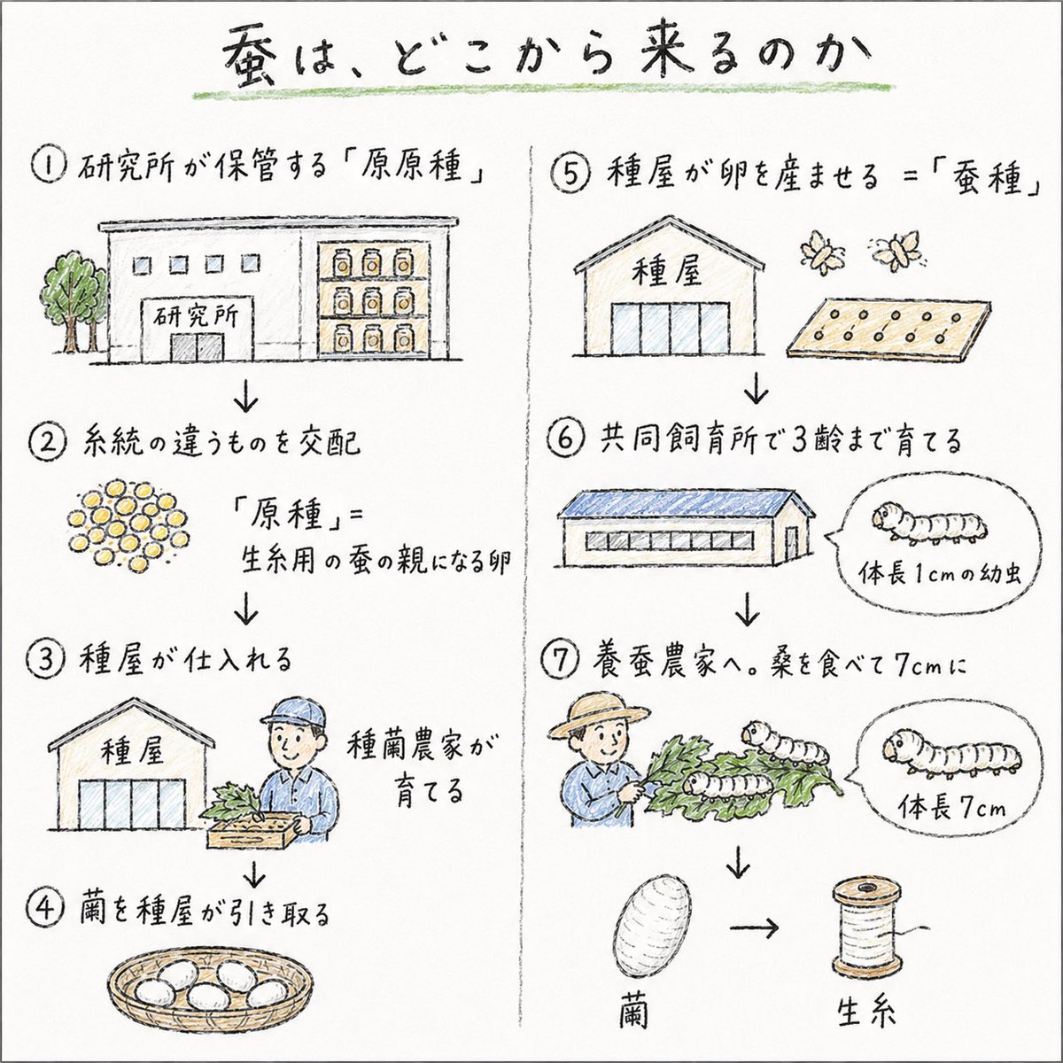 農家見習い tweet media