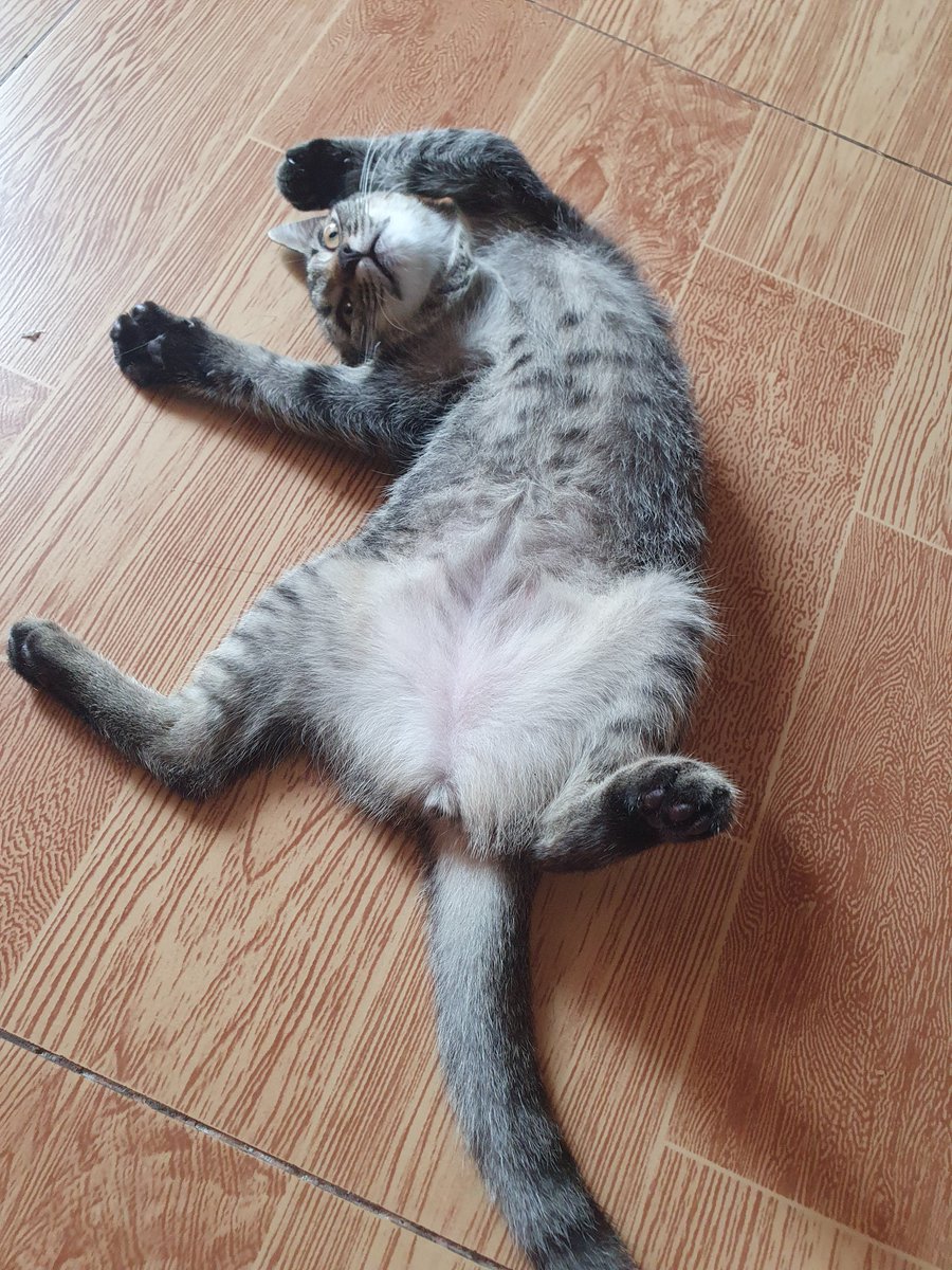 bellariumm's tweet photo. Belly https://t.co/vPXRJYfz1p