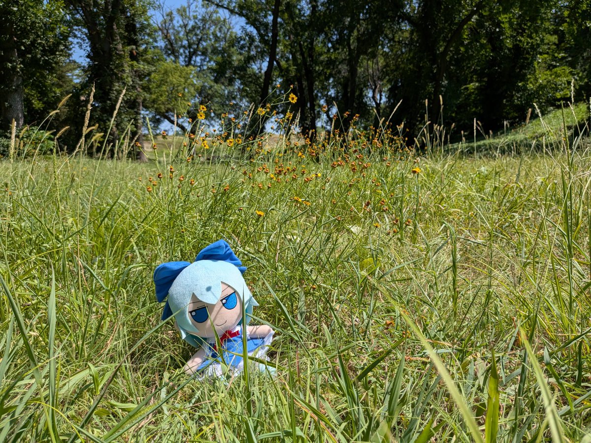 JAPversus's tweet photo. Went and did some Fumo-togrophy https://t.co/tEKEsrrNpF