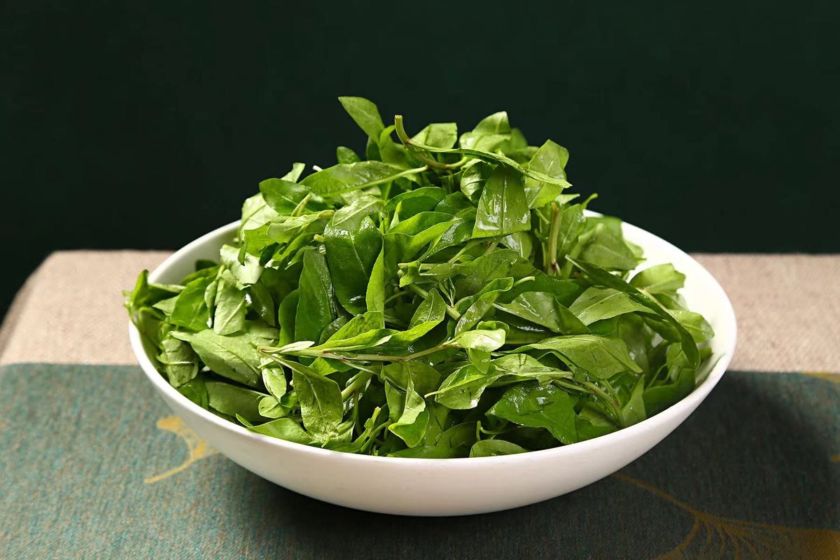 RiddhimayS's tweet photo. Just tried the newly launched organic baby spinach from local farms—super crisp, tender, and packed with natural sweetness, perfect for fresh salads! A definite pantry staple now. https://t.co/iJ1foItBni