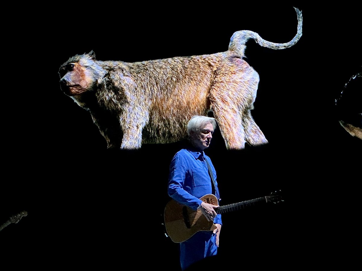 ross_maclean's tweet photo. Ross’s Second Year of Live Music™ is not above FOMO and so despite having seen him in Glasgow four months back, I couldn’t pass up the chance to see another awe-inspiring David Byrne gig — in Edinburgh this time. Don’t regret my decision for a second. Beautiful. https://t.co/EGuljhYUu5