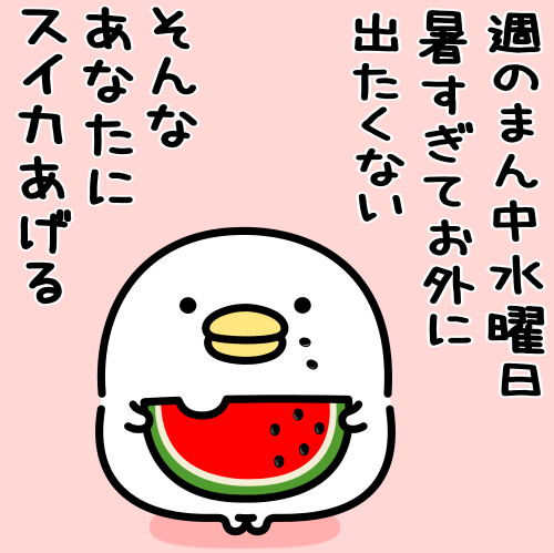 mame&co(まめあんどこー) (@mame_and_co) / Posts / X