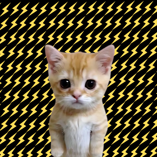 bCAT tweet media