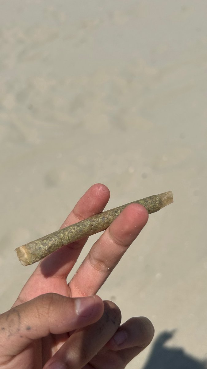 izzysoslimee's tweet photo. 🏖️ https://t.co/yQZfvHQsXU