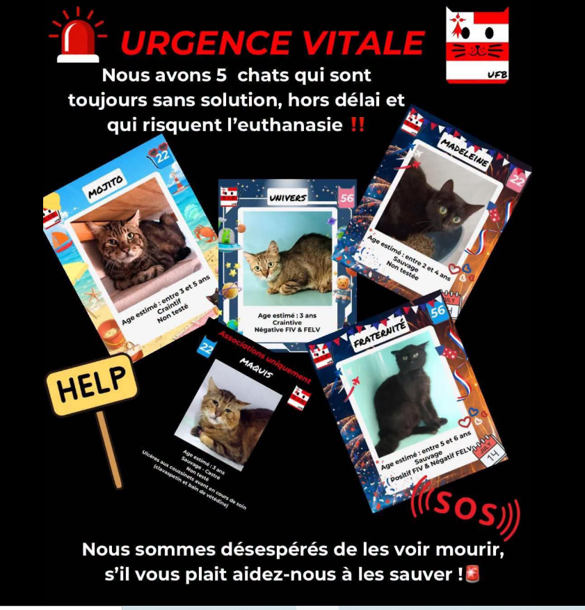 justineducern's tweet photo. https://t.co/Ovs6UabRHU