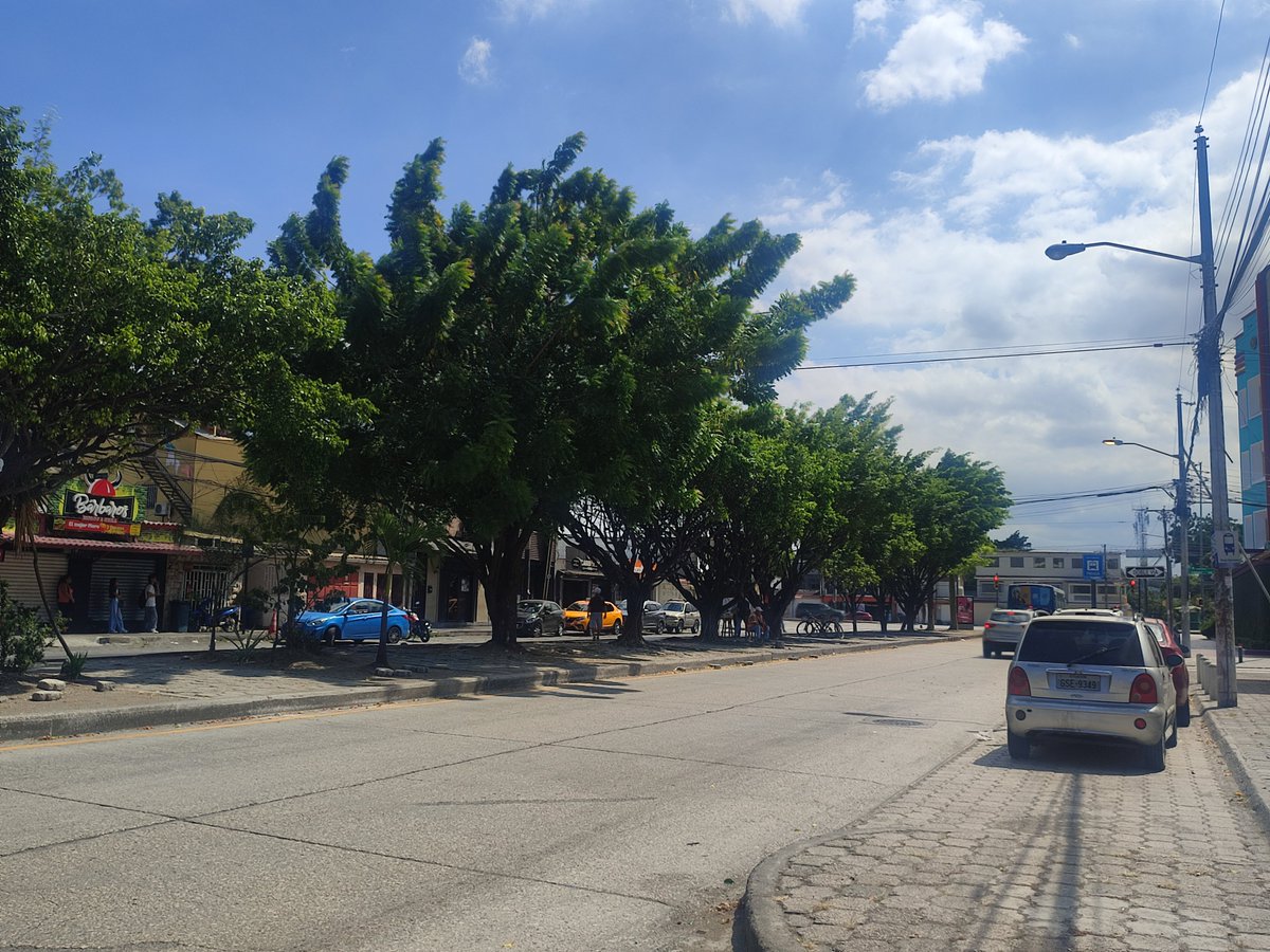 CarlosNiR40's tweet photo. Por favor veo que pronto llegarán a la interseccion con la av del maestro. En esta última hay un parterre central con árboles bastante frondosos para que por favor también se les aplique un aclareo. Gracias https://t.co/iMDX3FKCpR
