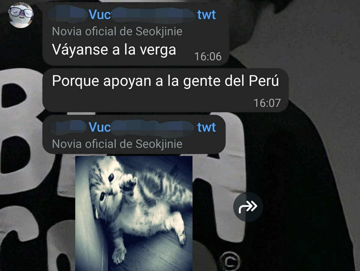 koovxnter's tweet photo. Abro hilo exponiendo a @skjmymoon , integrante de @GoreBearsGC por apropiación cultural https://t.co/Nv5OUK7Orc