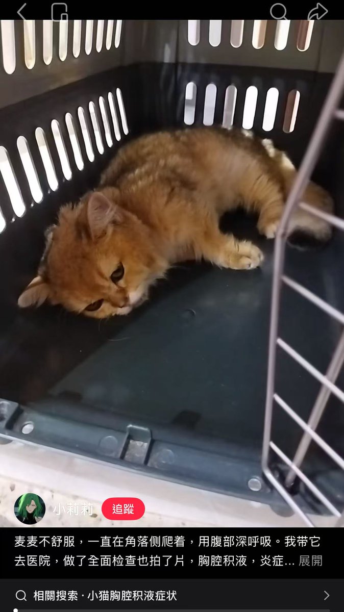 yantanzhang's tweet photo. 小红书一女子称豆包杀死了她的小猫，并强制豆包写了一篇忏悔文，小猫生病不是第一时间送医而是问AI，甚至连手术都是自己在家做的，而女子不仅没有任何悔意，还把锅一股脑甩给了AI。

果然虐猫人士绞尽脑汁，都不如“爱猫”人士灵机一动。 https://t.co/3uUgl3wGb3