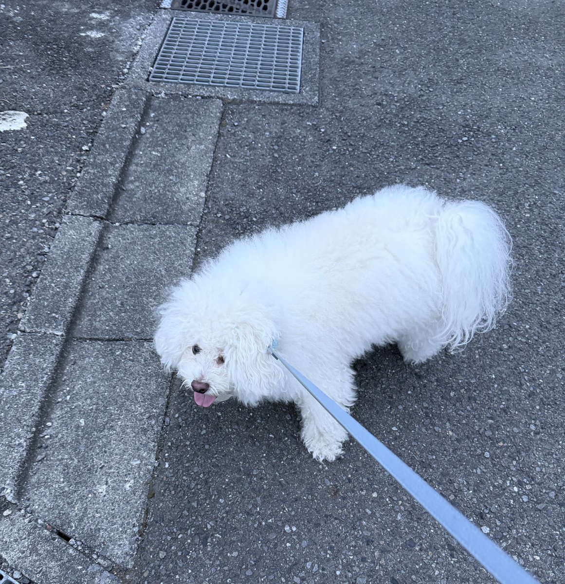 roarnodayo's tweet photo. 帰宅拒否 https://t.co/Fr40mNtMjL