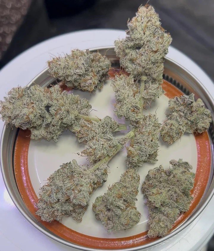 AaronKeefer420's tweet photo. Some gorilla gas ⛽️🔥
What’re you smokin on today? ☺️ https://t.co/EKcQMubiut