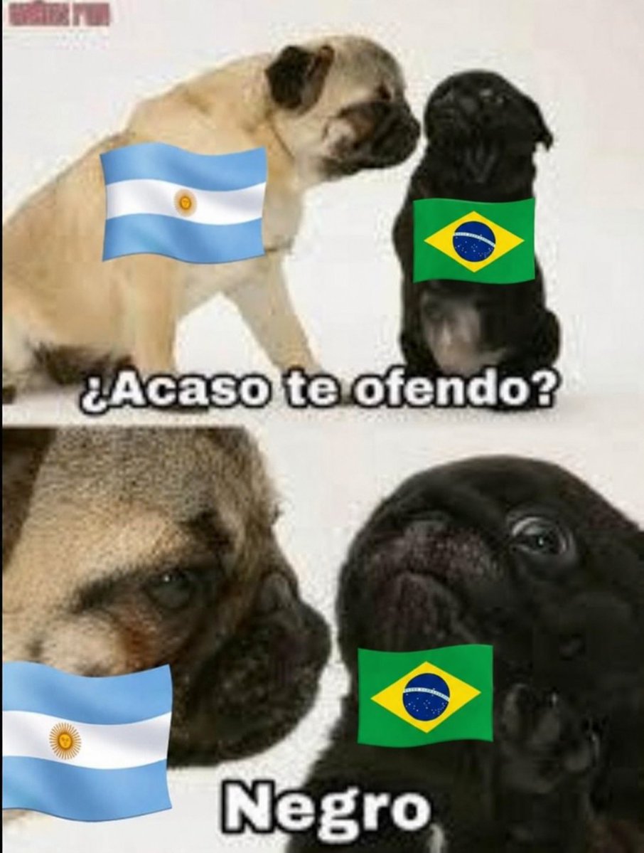 pabloch1992's tweet photo. @Virrey__ Nunca va a dejar de serlo 
Y si llega a tener un hijo va a ser un chimpancé igual que el https://t.co/qRmiLuDaLs