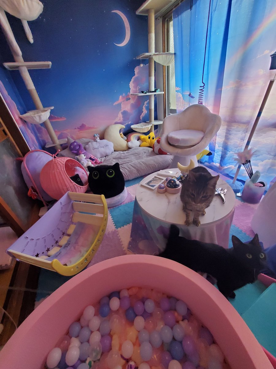 TyriaXDesigns's tweet photo. So, after a year of being unable to decorate in game, I decide to move to Japan and decorate me a real life cat room inspired by the #MoonlightSeriesCatTree by @happyandpolly only to find out they don't ship to Japan... #FreeTheKittyTree https://t.co/BNrkvZG2jX